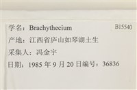 登錄號:B00015540藏品圖，第2張