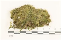 登錄號:B00015540藏品圖，第1張