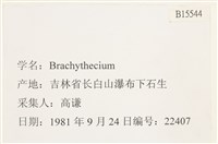 登錄號:B00015544藏品圖，第2張