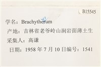 登錄號:B00015545藏品圖，第2張