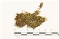 登錄號:B00015545藏品圖，第1張