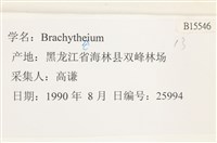 登錄號:B00015546藏品圖，第2張