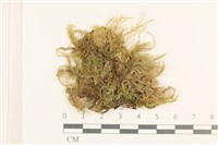 登錄號:B00015558藏品圖，第1張