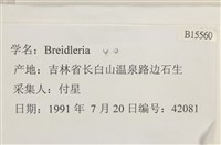 登錄號:B00015560藏品圖，第2張