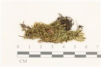 登錄號:B00015560藏品圖，第1張