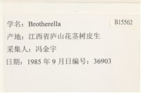 登錄號:B00015562藏品圖，第2張