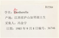 登錄號:B00015564藏品圖，第2張