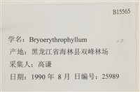 登錄號:B00015565藏品圖，第2張
