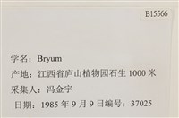 登錄號:B00015566藏品圖，第2張
