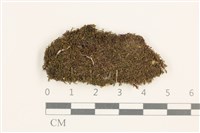 登錄號:B00015566藏品圖，第1張