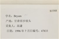 登錄號:B00015568藏品圖，第2張