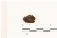 登錄號:B00015569藏品圖，第1張