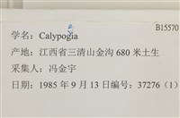 登錄號:B00015570藏品圖，第2張