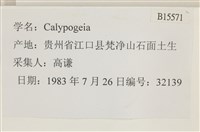 登錄號:B00015571藏品圖，第2張