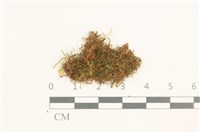 登錄號:B00015571藏品圖，第1張