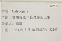 登錄號:B00015572藏品圖，第2張