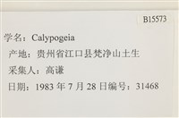 登錄號:B00015573藏品圖，第2張