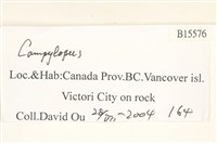 登錄號:B00015576藏品圖，第2張