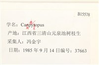 登錄號:B00015578藏品圖，第2張