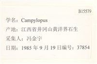 登錄號:B00015579藏品圖，第2張