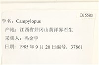 登錄號:B00015580藏品圖，第2張