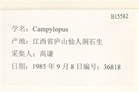 登錄號:B00015582藏品圖，第2張