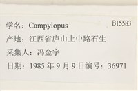 登錄號:B00015583藏品圖，第2張