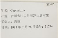 登錄號:B00015585藏品圖，第2張