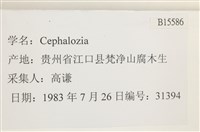 登錄號:B00015586藏品圖，第2張