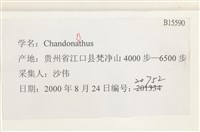 登錄號:B00015590藏品圖，第2張