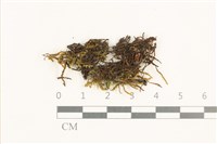 登錄號:B00015590藏品圖，第1張