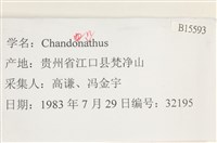 登錄號:B00015593藏品圖，第2張
