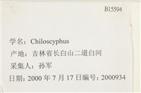登錄號:B00015594藏品圖，第2張