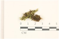 登錄號:B00015595藏品圖，第1張