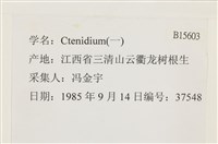 登錄號:B00015603藏品圖，第2張
