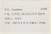 登錄號:B00015604藏品圖，第2張