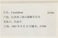 登錄號:B00015605藏品圖，第2張