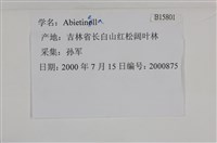 登錄號:B00015801藏品圖，第2張