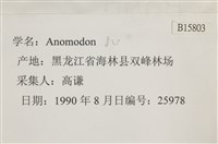 登錄號:B00015803藏品圖，第2張