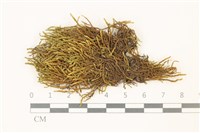 登錄號:B00015803藏品圖，第1張