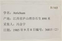 登錄號:B00015805藏品圖，第2張