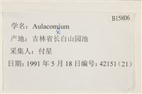 登錄號:B00015806藏品圖，第2張