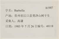 登錄號:B00015807藏品圖，第2張