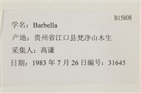 登錄號:B00015808藏品圖，第2張