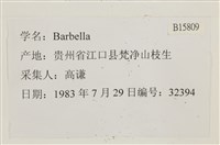 登錄號:B00015809藏品圖，第2張
