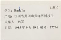 登錄號:B00015810藏品圖，第2張