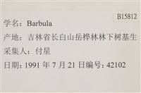 登錄號:B00015812藏品圖，第2張