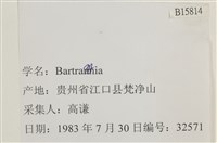 登錄號:B00015814藏品圖，第2張