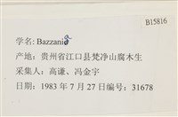 登錄號:B00015816藏品圖，第2張