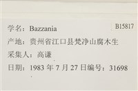 登錄號:B00015817藏品圖，第2張